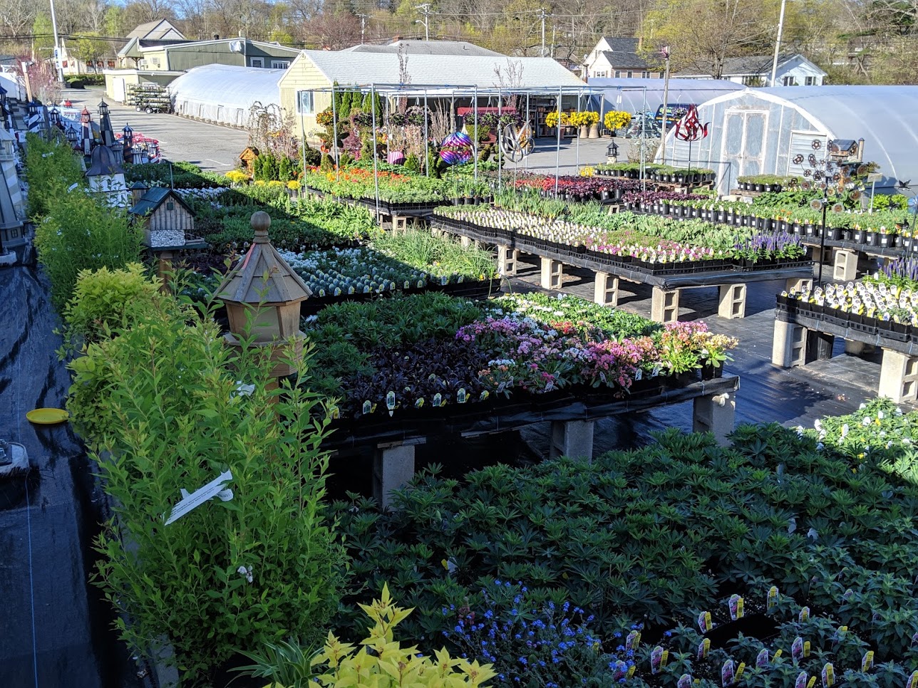 Garden Center Tewksbury Florist Greenery Inc