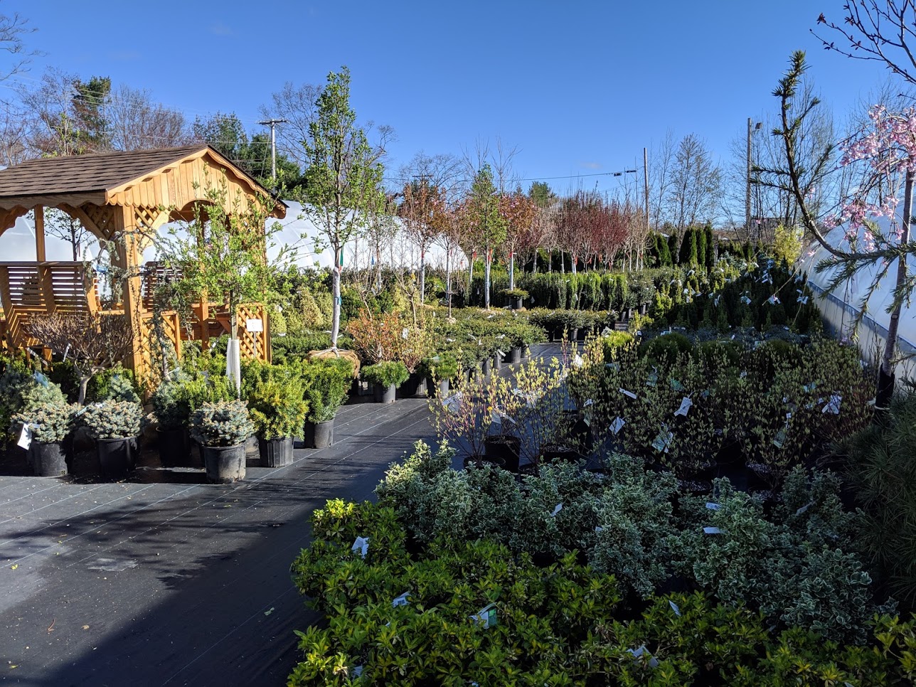 Garden Center Tewksbury Florist Greenery Inc